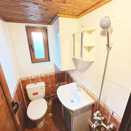 Complex Ristanite Елена