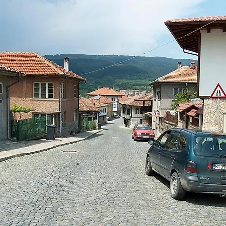 Complex Ristanite * Elena