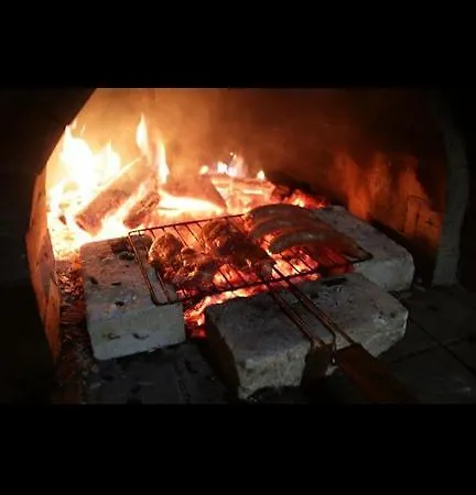 Complex Ristanite Elena