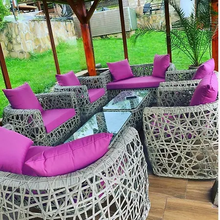 Complex Ristanite Elena